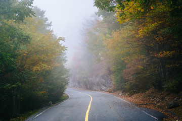 Obraz premium Early autumn color and fog on the road to Grandfather Mountain,