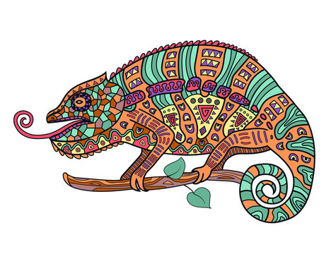Color vector image of a chameleon.