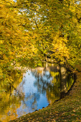Beautiful autumn park at the channel in Riga