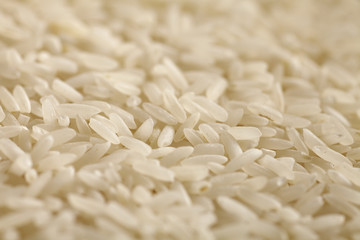 uncooked long grain white rice