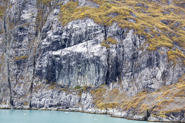 Fototapeta na wymiar Glacier Bay Coast