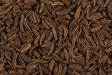 Close up caraway seeds