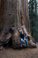 Man sitting on a sequoia