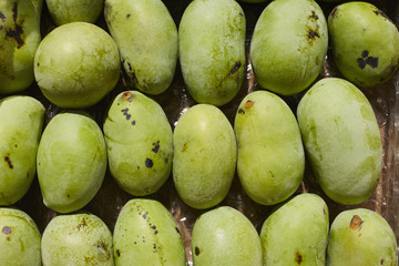 Pawpaw, a wild fruit native to North America