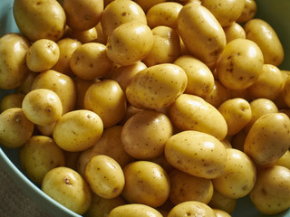 Small yellow potatoes