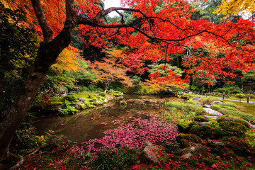 garden in Nanzen-ji temple at fall, Kyoto