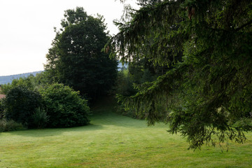 Morning in the green garden. Czech Republic