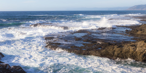 Fototapeta premium rocky shoreline in the coast of California