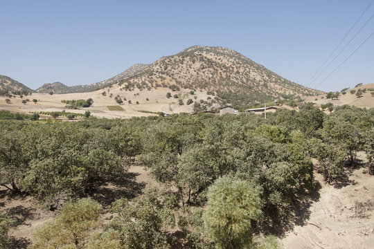 Landschaft Lorestan Provinz, Iran, Asien