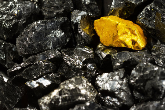 Golden nugget on raw coal nuggets, black gold, natural gold