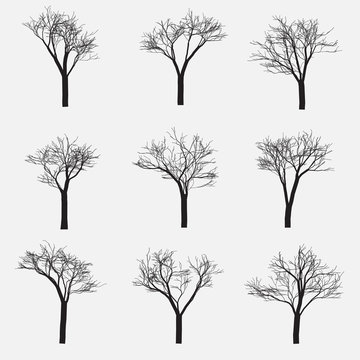 Set of Silhouette of tree with bare branches, vector illustration
