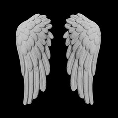 white plaster wing on a black background