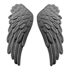 dark plaster wings on isolated white background