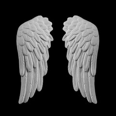 white plaster wing on a black background