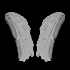 white plaster wing on a black background