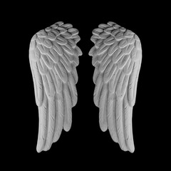 white plaster wing on a black background