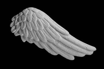 white plaster wing on a black background