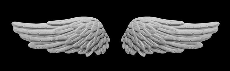 white plaster wing on a black background