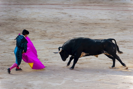 Bullfight featuring matadors, San Fermin festival, Pamplona, Navarre, Spain