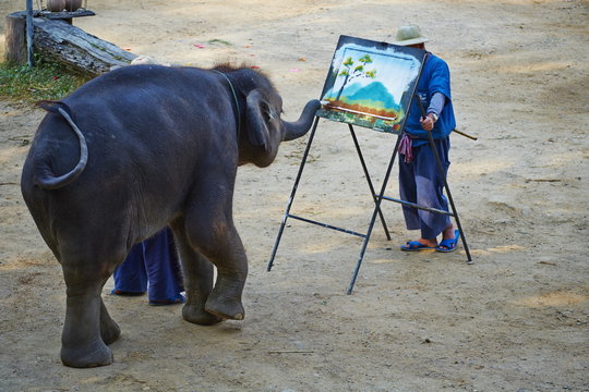 Elephant show for tourist, Mae Sa, Chiang Mai