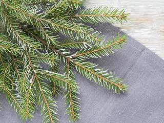 Christmas background  with fir branch.