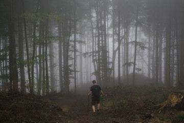 Misty woods with thick fog and trees silhouettes. Slovakia