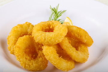 Calamari rings