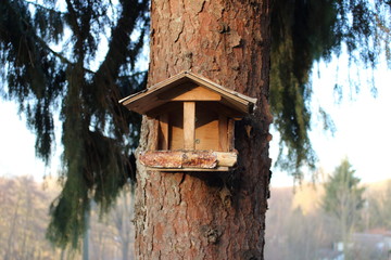 Vogelhaus