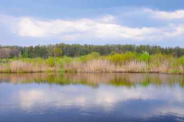 Obraz premium River in the spring