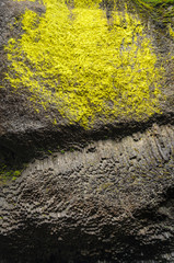 Columbia Gorge National Scenic Area