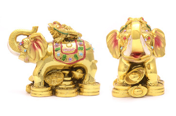 gold elephant and frog on the coins isolated on white