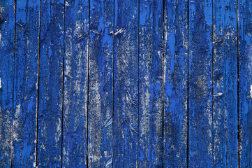 Blue barn wall with vertical boards and weathered peeling paint