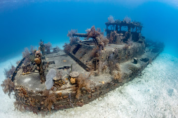 Small, coral encrusted shipwreck