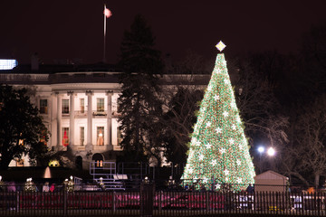 The White House and Christmas Tree - Washington DC, United States