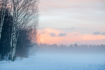 Fog in the forest in winter. - 130289911