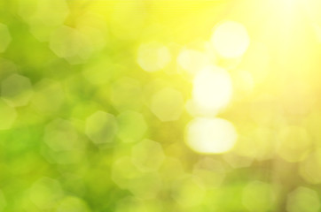 Obraz premium Natural outdoors bokeh background in green and yellow tones with sun rays