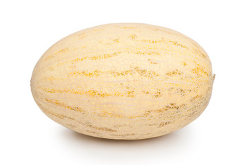 Melon