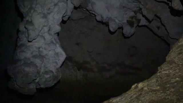 Interior of a cave with bats flying around