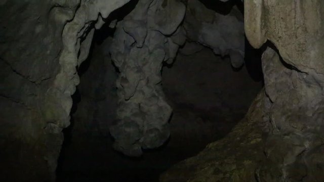 Interior of a cave with bats flying around