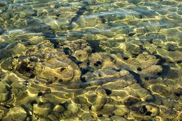 Wasser