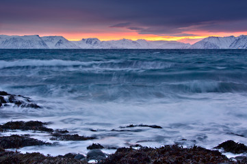 The seashore in arctic light