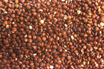 Red Quinoa seeds background