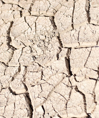 cracked dry earth as a background