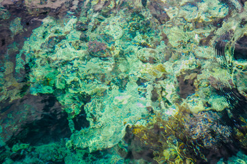 Fototapeta na wymiar turquoise water background red sea pattern view