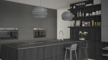 Minimalistic gray kitchen with wooden and gray details, minimal