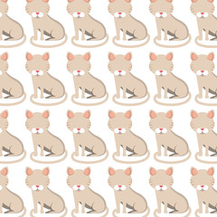 cute cat pattern isolated icon vector illustration design