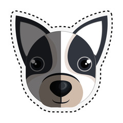 cute dog isolated icon vector illustration design