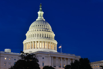 The Capitol - Washington DC United States