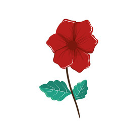 decorative flower isolated icon vector illustration design