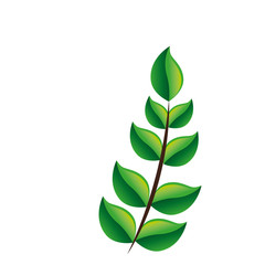 leafs plant ecology icon vector illustration design